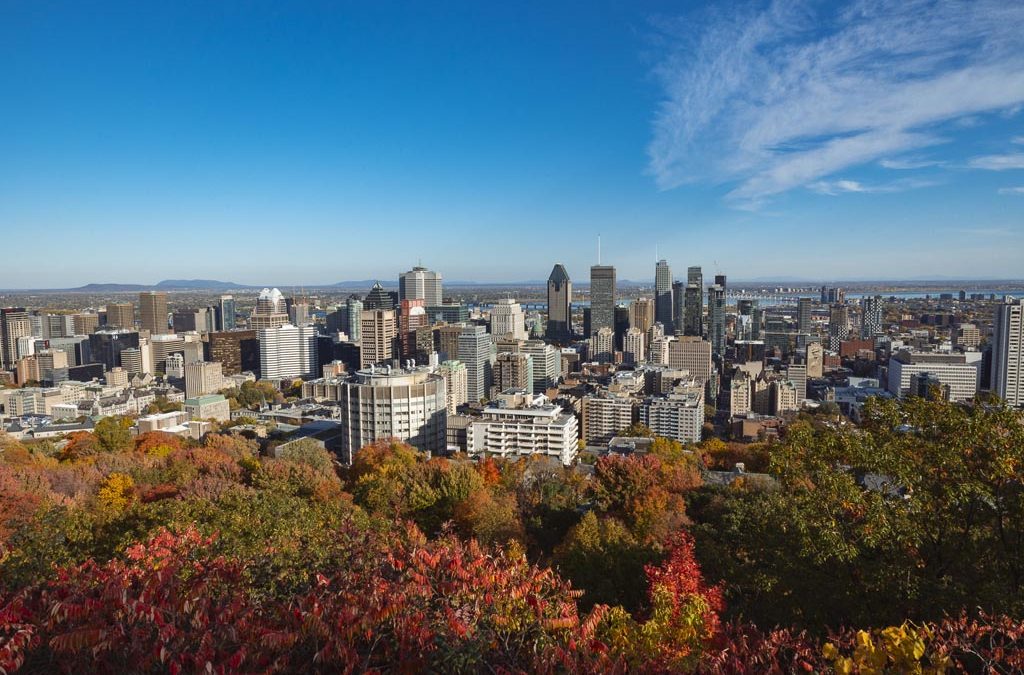 Mes 23 cafés gourmands préférés à Montréal (Et tu peux y travailler !)